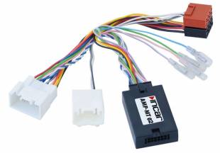 Intro AMP-MT 02