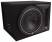 Rockford Fosgate P1-1X10